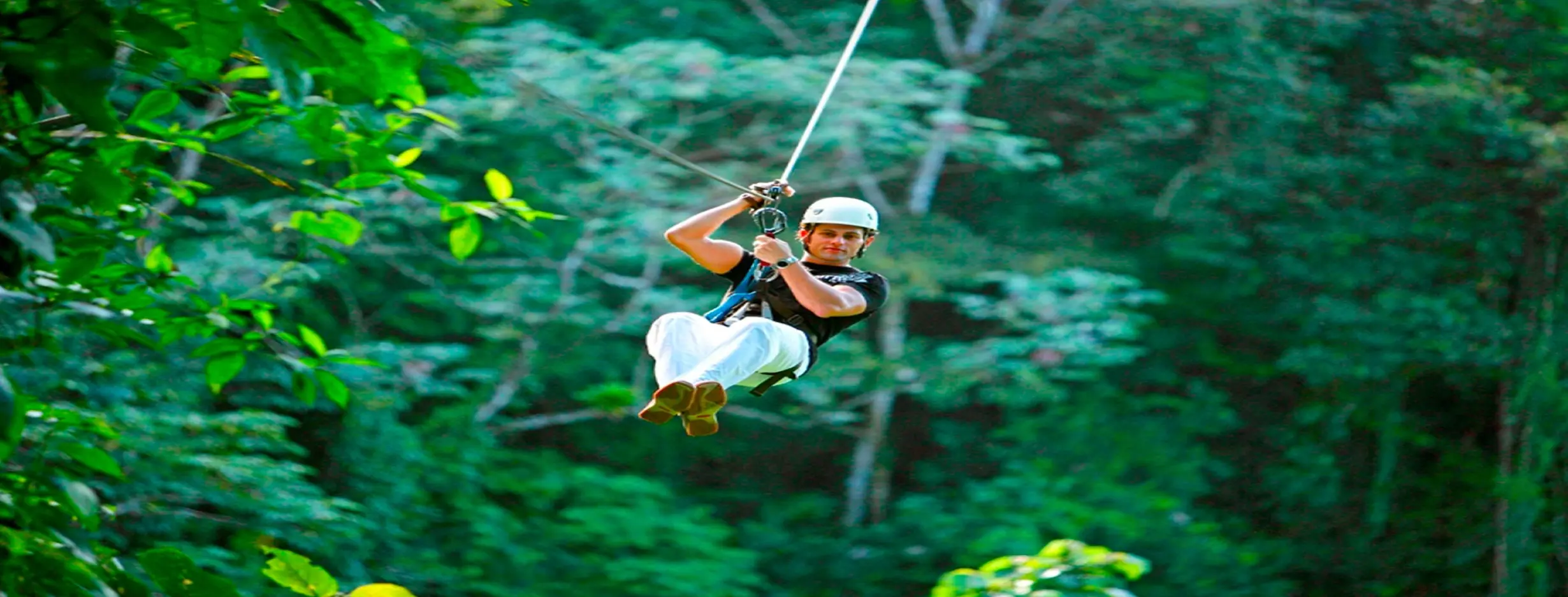 Image for Canopy Ziplining